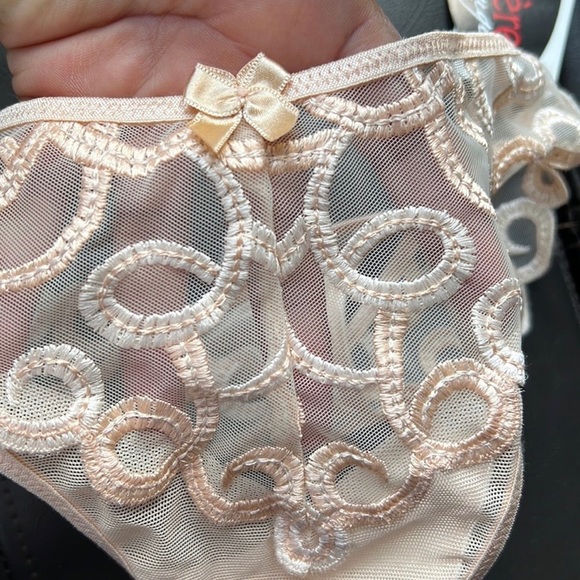 Le Mystere Rouge Nude Sheer Mesh Thong Panties - Picture 9 of 16